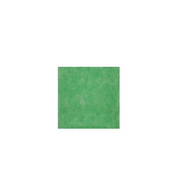 Płyta solna 50x50 3 kg zielona